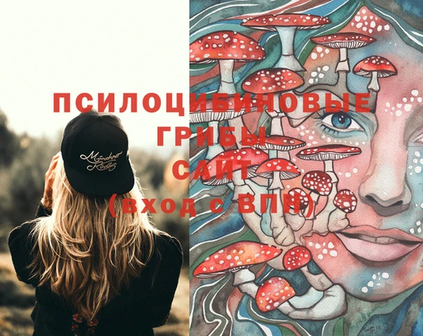 мдма Вяземский