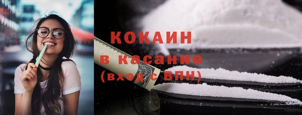ГАЛЛЮЦИНОГЕННЫЕ ГРИБЫ Горно-Алтайск